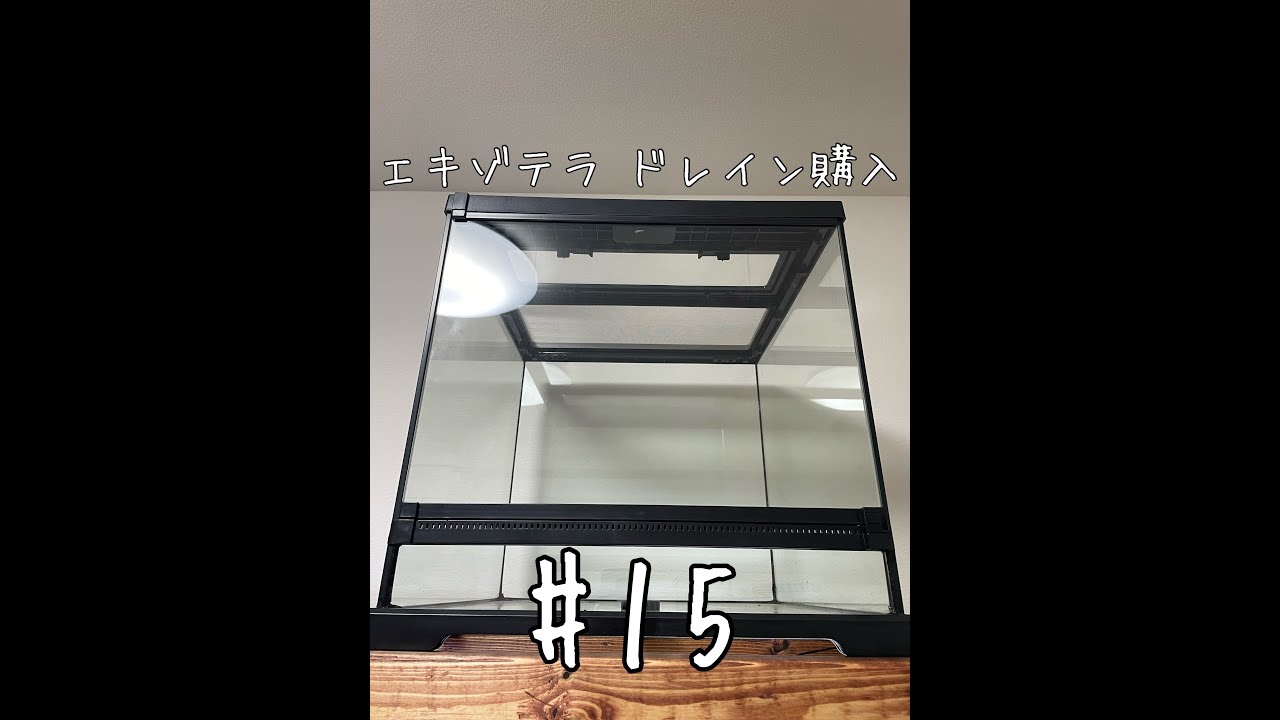 パルダリウム】グラステラリウム ドレインを開封 レビュー #15