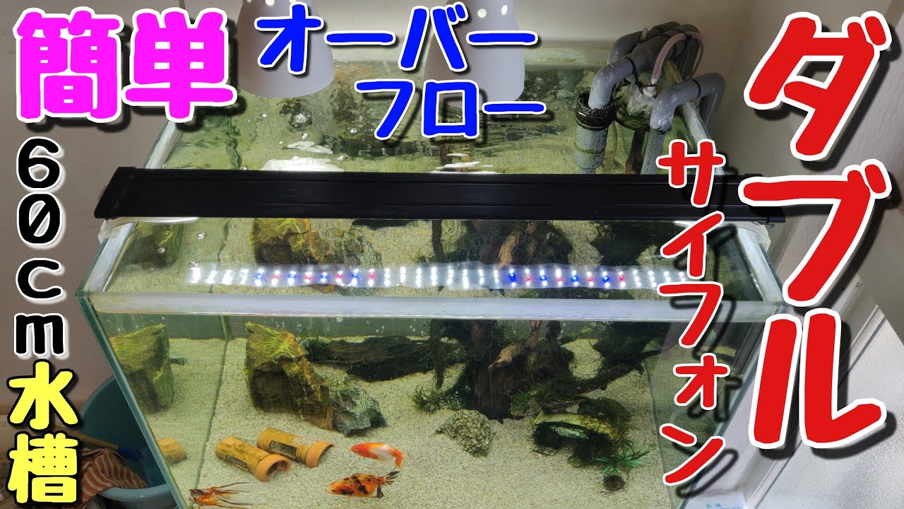 オーバーフロー水槽単品（1500×450×600mm）｜すいそうやさん 2段式