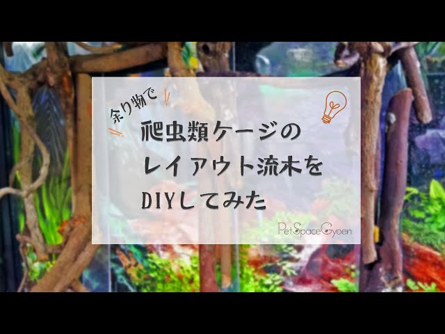 DIY】余りもので爬虫類レイアウト用流木をDIYしてみた - YouTube