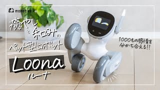 Loona ルーナ ペットロボット 箱あり Loona ルーナ ペットロボット 箱