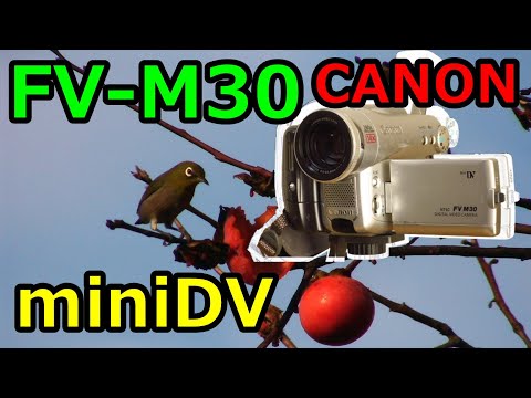 動作確認OK】Canon キヤノン FV M300 ミニDV 動作確認OK】Canon