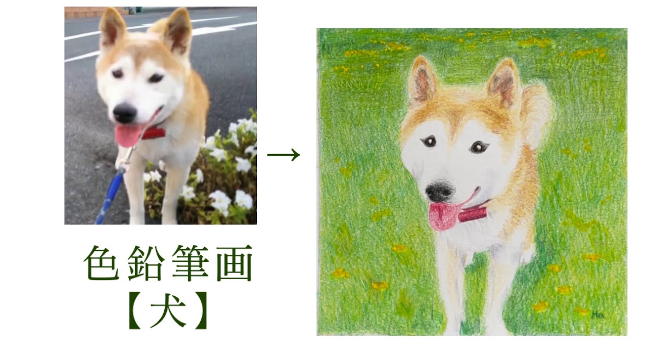 仔犬の色鉛筆画 仔犬の色鉛筆画 鉛筆画】初めての鉛筆画【前編】14歳の