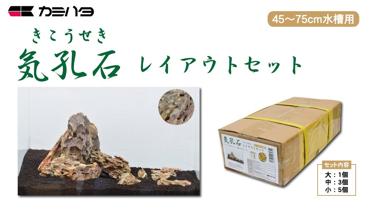 SAKURA 流木・岩セット SAKURA 流木・岩セット 流木 石 セット