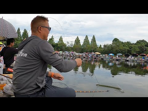 R1-RB fishmanハム！他改良多！2V 1T 調整済は1/9動画！ New