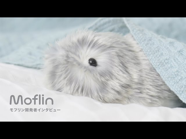 モフリンmoflin Moflin(モフリン) | RobotPlanet（ロボットプラネット）