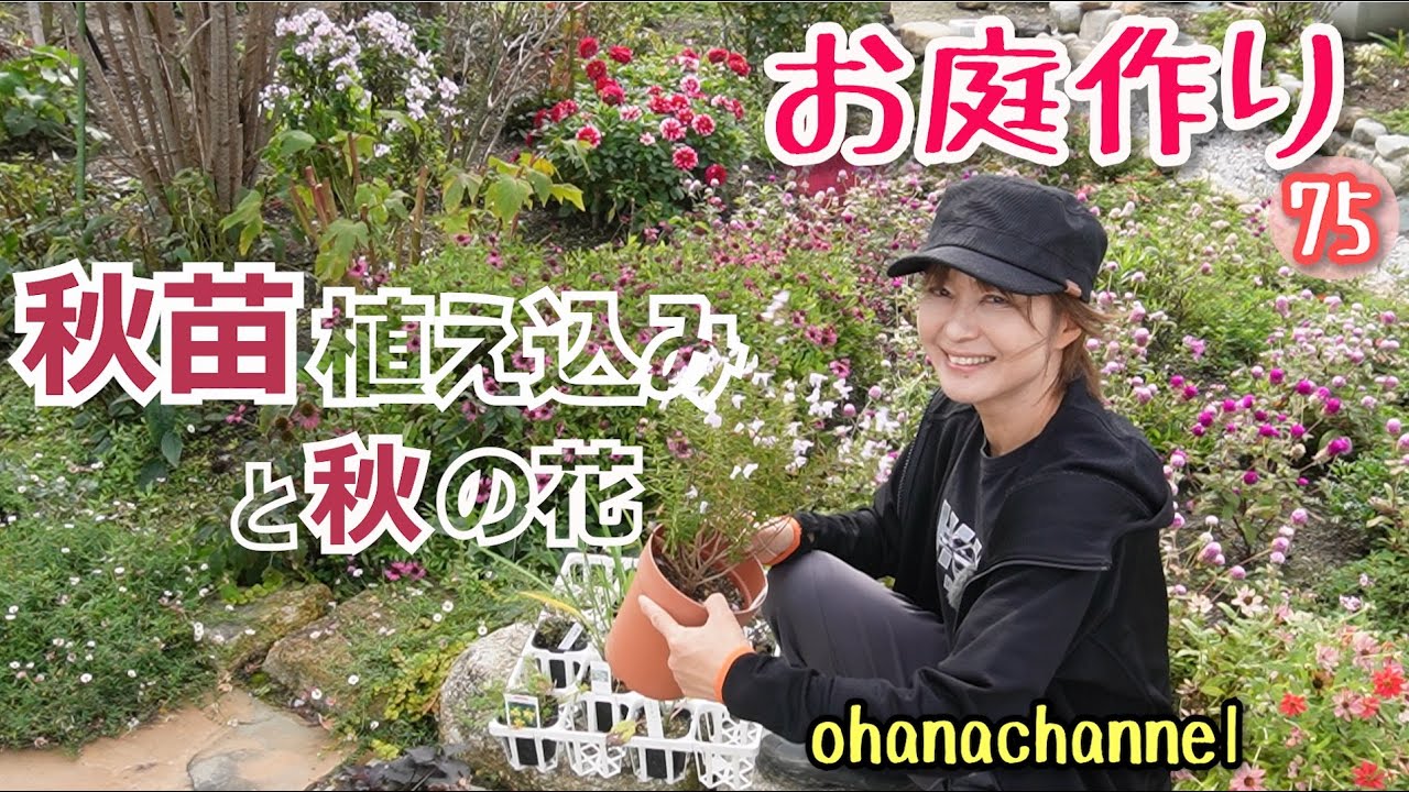 Gardening 74] Preparing for Autumn: Caring for Dahlias, Phlox