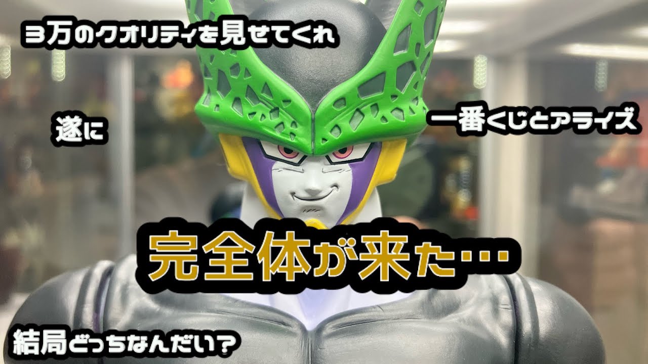 アライズ】クリスマスにセル完全体がやってきた。これはスルメ