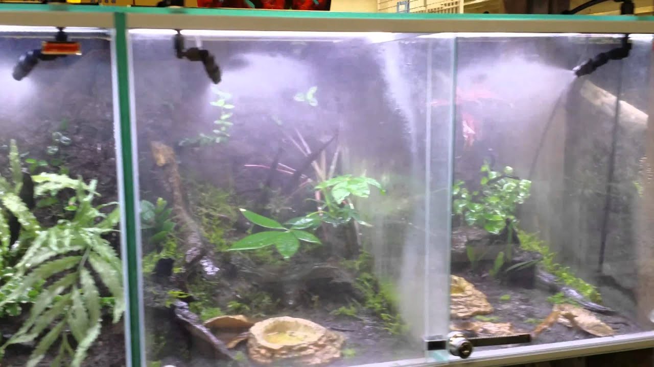 ミスティングシステム フォレスタ Foresta ミスティングシステム