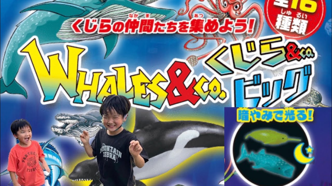 くじら＆co.ビッグ！【くじらアンドコー】を4個開封してみたら