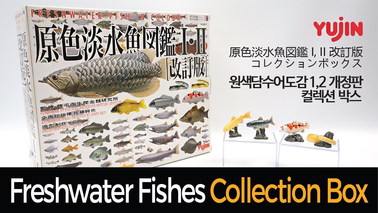 原色淡水魚図鑑Ⅰ 改訂版 限定版 ヤマメ×アメマス(彩色台座) ユージン