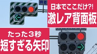 本物の信号機最終値下げ I came here to photograph a rare zebra