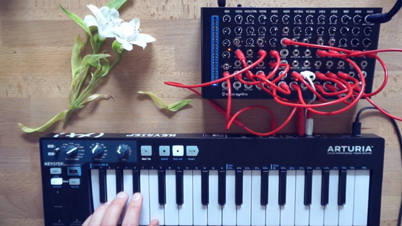 Erica Synths Pico System III Sound Demo (no talking) - YouTube