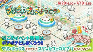 ほしの島のにゃんこ カフェ限定 缶バッジ 星の島のにゃんこ】次のイベント