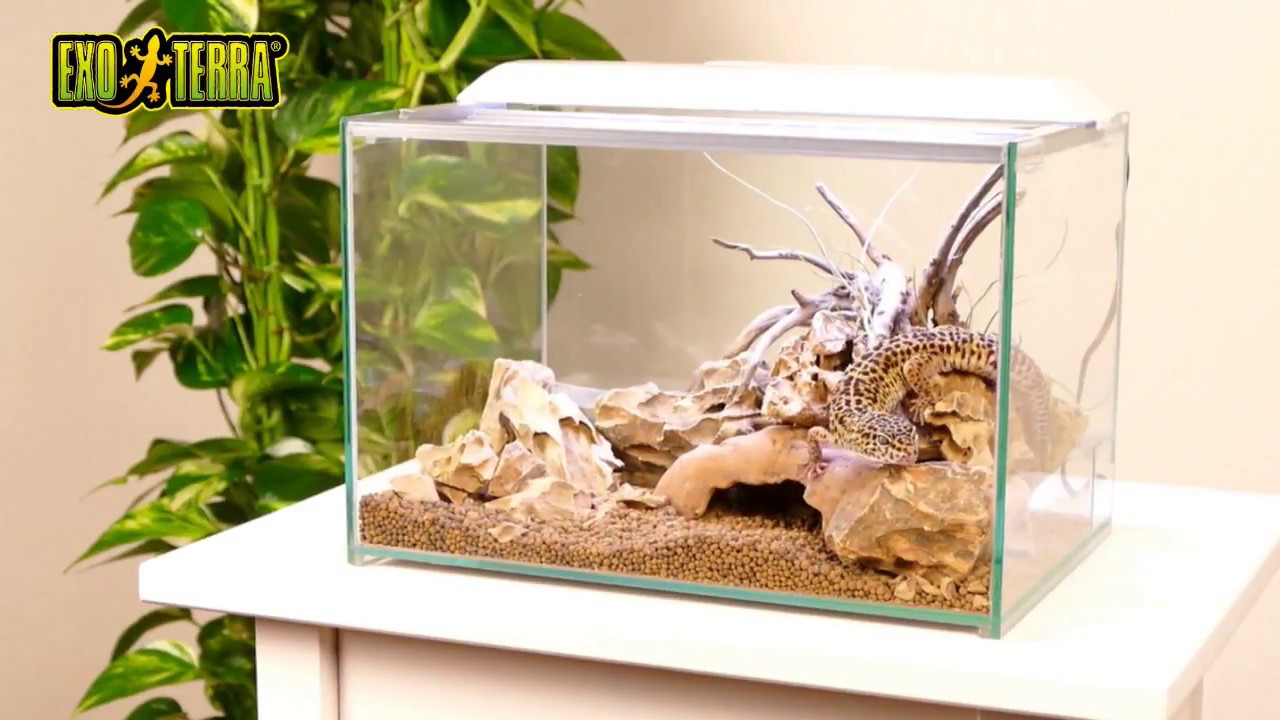 新商品！爬虫類用オールガラスケージ「レプテリアクリア」 - YouTube