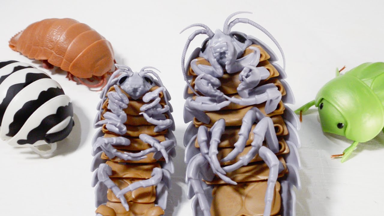 ダンゴムシ ガチャ コンプリート未開封品 だんごむし｜ガシャポン