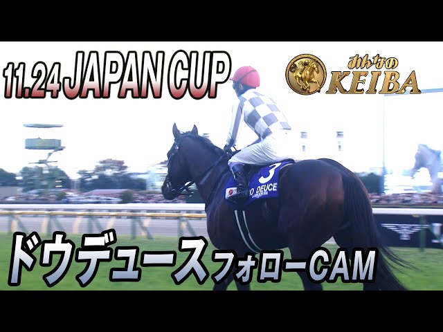 競馬］ドウデュース（2024年ジャパンカップ）ミニゼッケン／武豊／東京