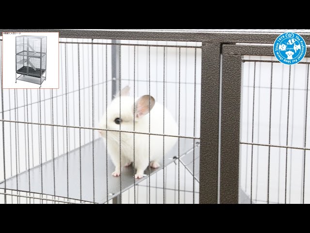charm】チンチラ飼育ケージ 小動物用4階建て大型ケージを組み立てる