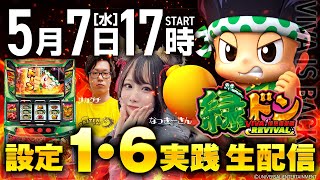 スマスロ緑ドン VIVA!情熱南米編REVIVAL】VIVA LOOPで獲得期待枚数