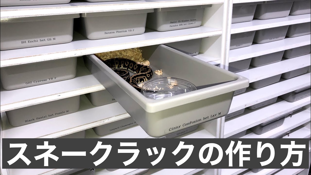 スネークラックの作り方【蛇の効率的な管理方法】 - YouTube