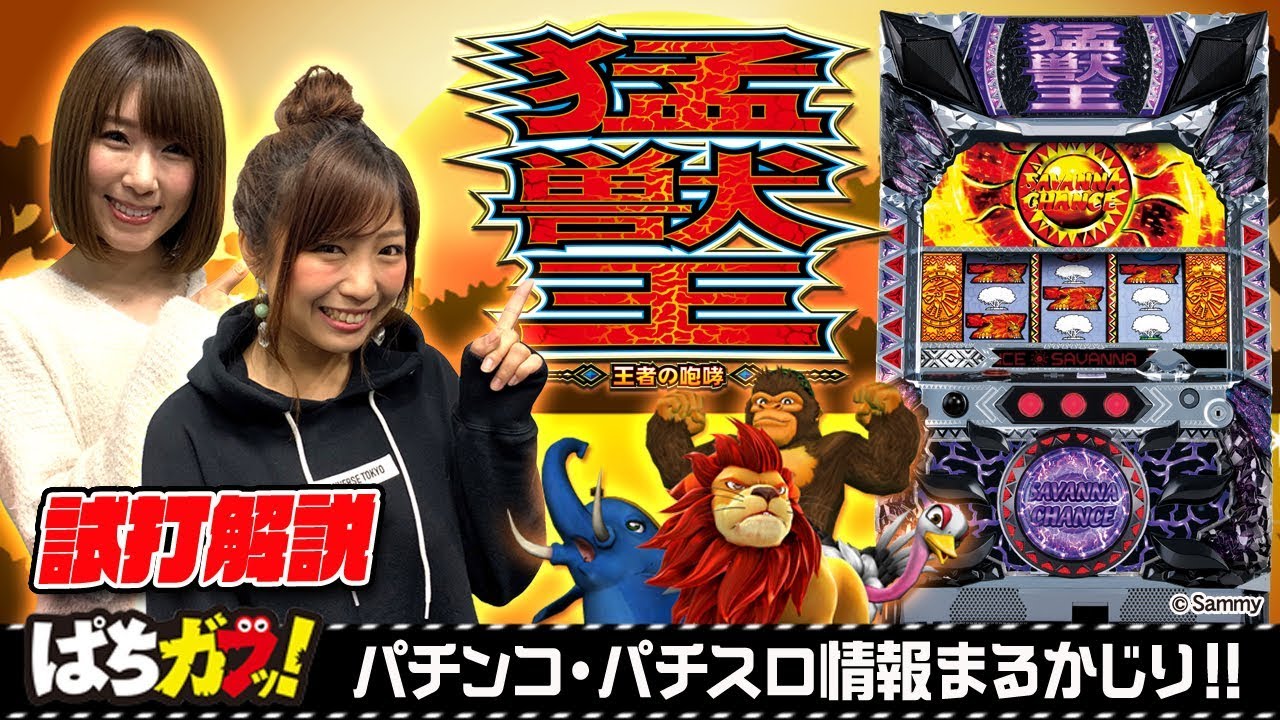 パチスロ猛獣王 王者の咆哮】純増6枚＆最大約80％ループ⁉[パチスロ