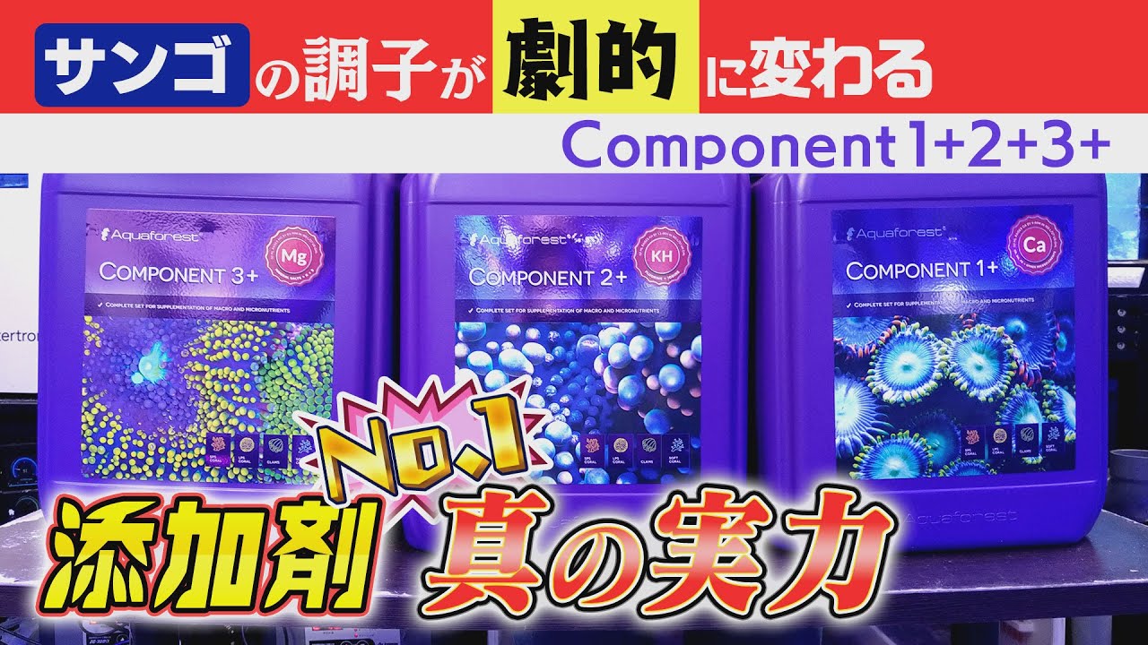 使いやすさ 実力も “最強” 添加剤 Aquaforest 《サンゴ水槽》【2023年