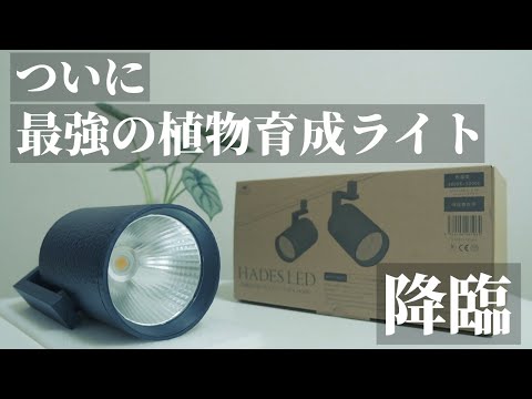 hqdefault.jpg?v=653e16b7