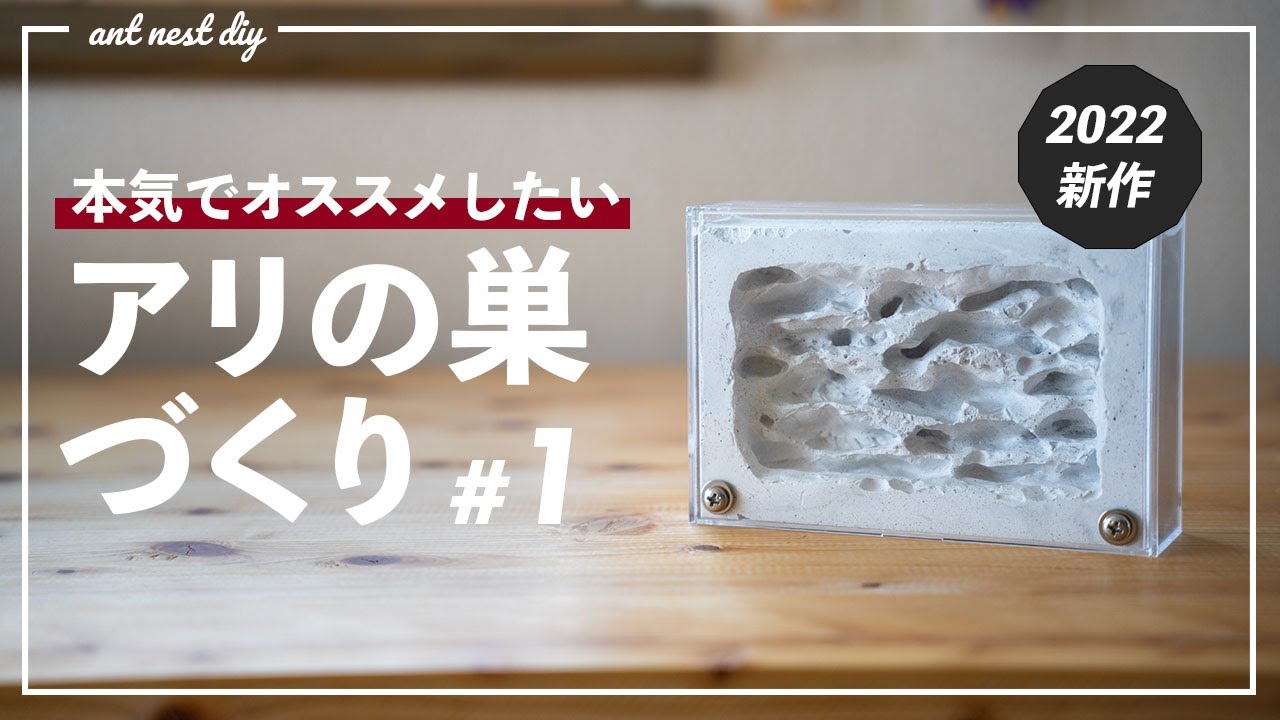 アリ飼育】奥行きのあるアリの巣の作り方#1【2022新作自作石膏巣