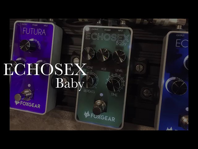 弾いてみた】FOXGEAR Echoes / Echosex Baby / Futura【アンプ