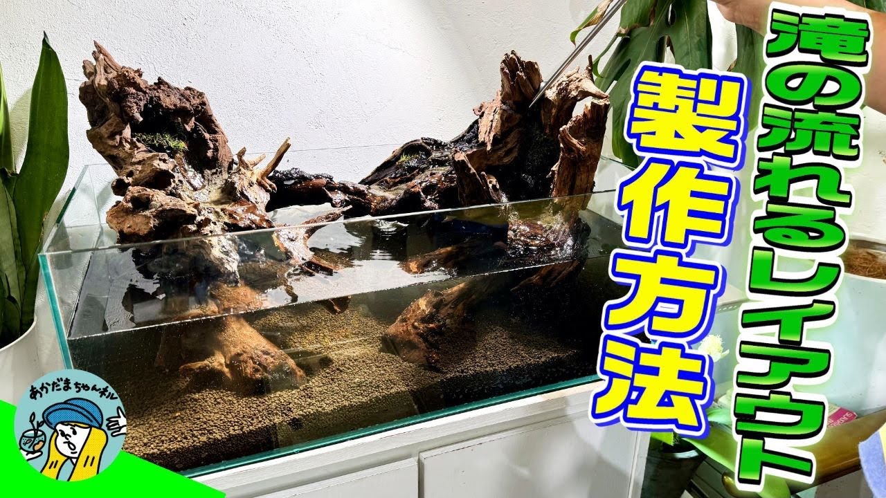 アクアリウム】水換え不要で滝が流れるレイアウト水槽の製作方法（流