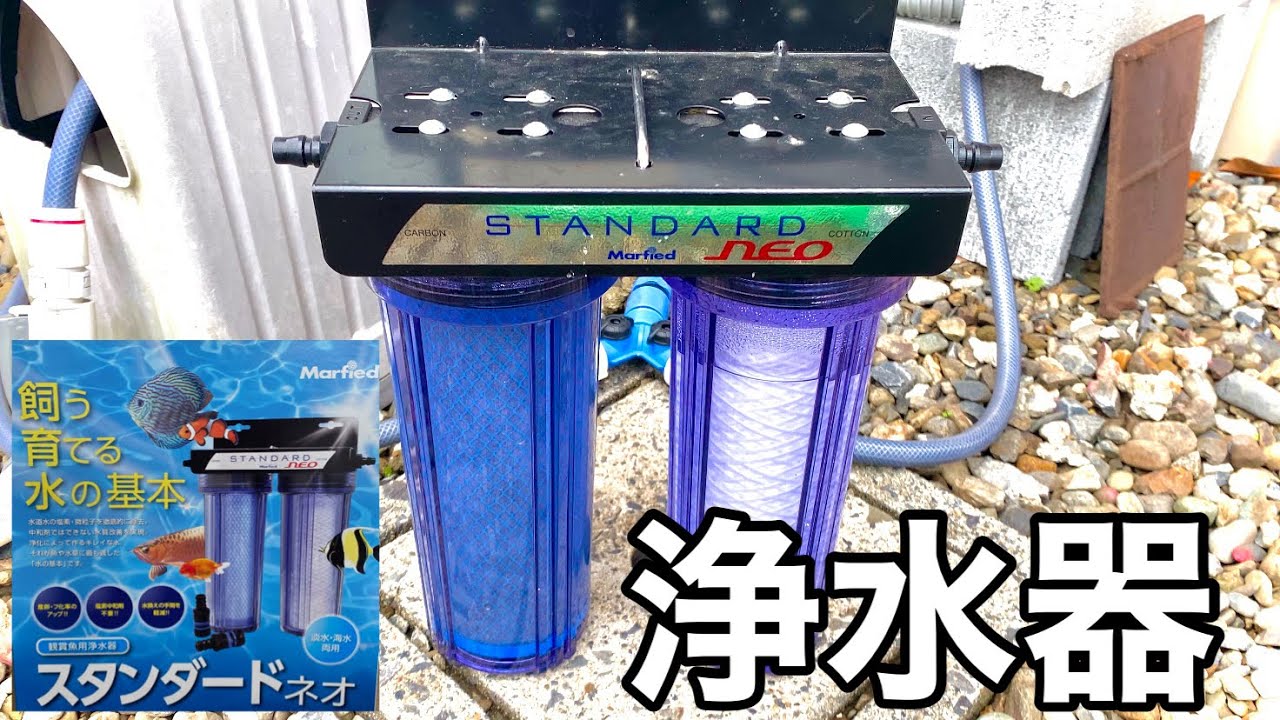 カルキ抜き不要】マーフィードスタンダードネオを使ってメダカ水槽の水