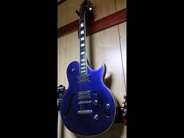 個人製作者改造ストラトモデル 個人製作者改造ストラトモデル 個人製作