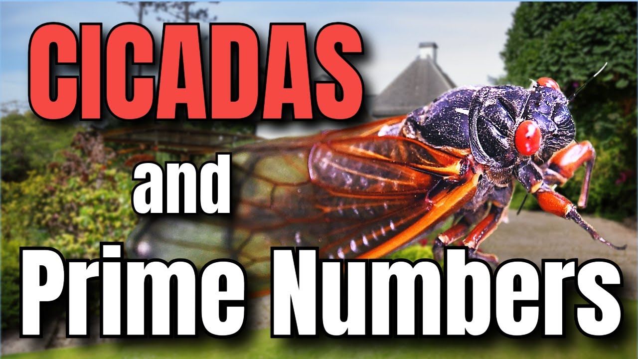 2024 CICADA Emergence - Unlocking a 13 and 17 Year MYSTERY! - YouTube