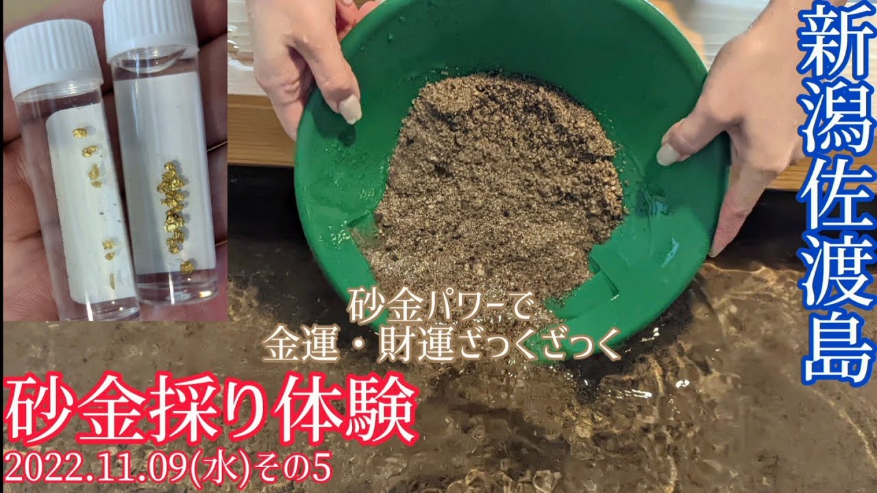 砂金採り体験】22佐渡島ツアー(2021.11.09その⑤)佐渡西三川ゴールド
