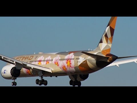 最終値下げ中 エティハド航空Boeing787-9（特別塗装） mqdefault.jpg