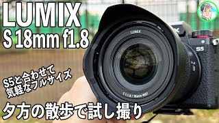 S5で散歩】開封 Panasonic LUMIX S 18mm f1.8 で撮影散歩【フルサイズ