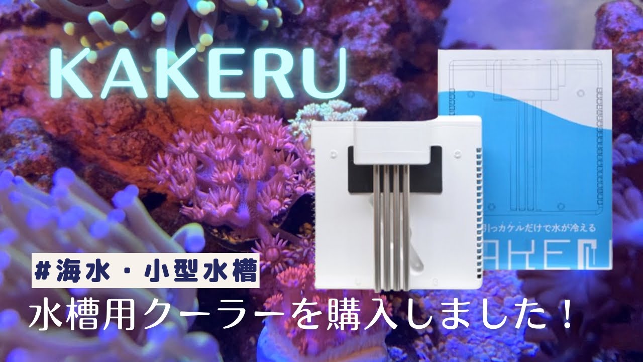 海水水槽】ゼンスイの新クーラー「KAKErU（カケル）」を使ってみた