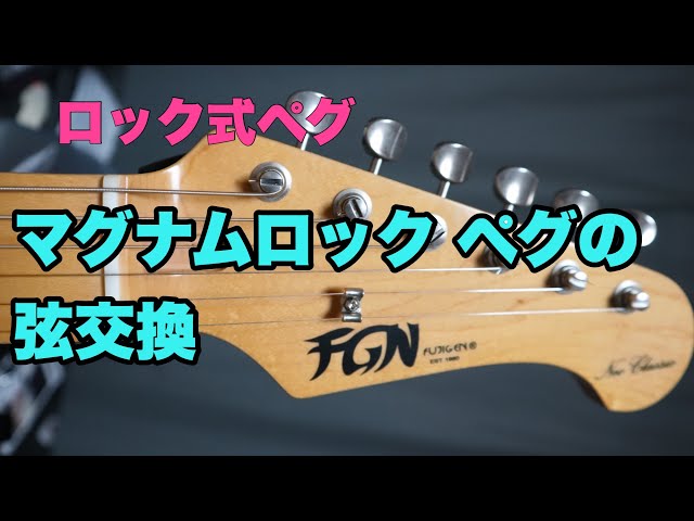 Maya F301 ジャパンヴィンテージギター(ペグ修理必要)弦おまけ付き