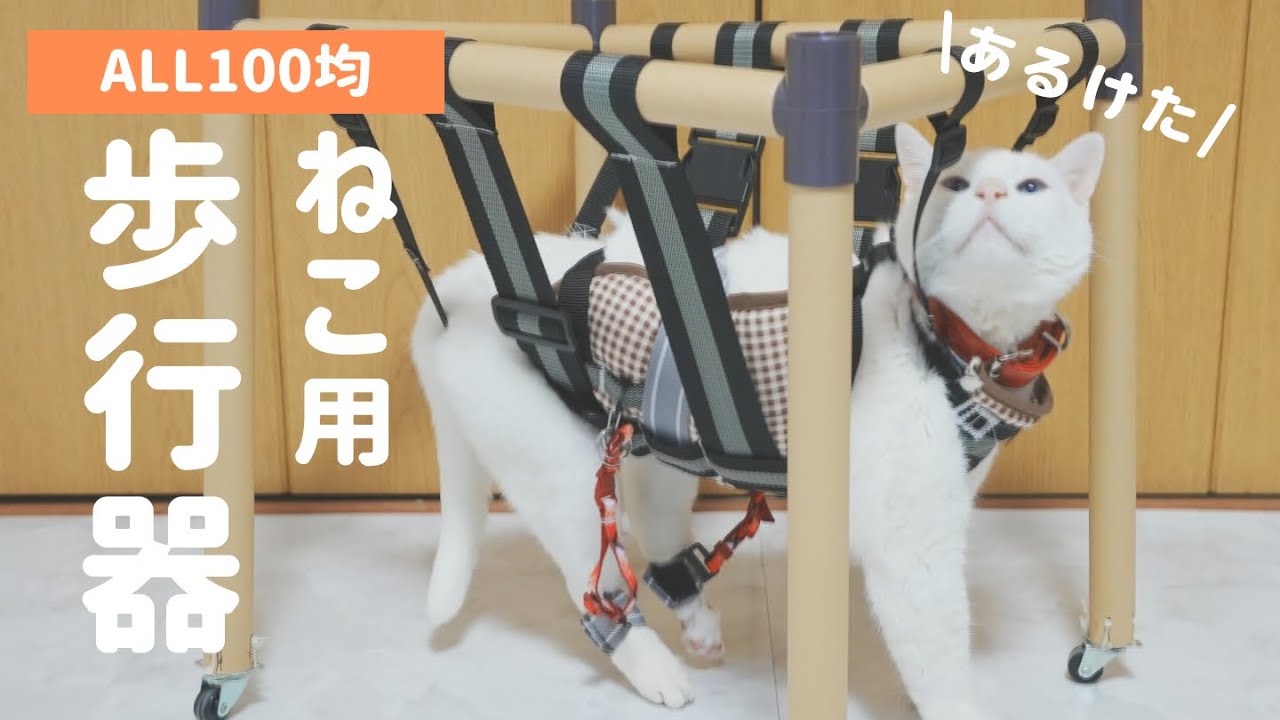 手作り歩行器に挑戦してみた - YouTube