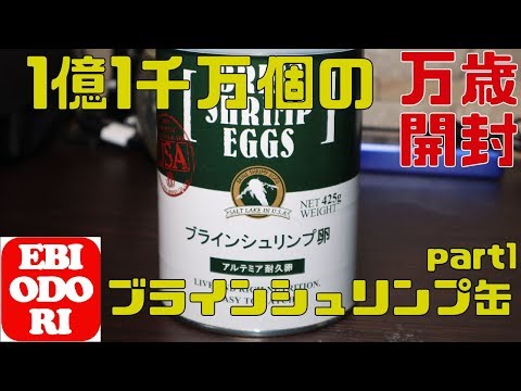 Aquarium] Opening a can of 110 million brine shrimp Part 1 - YouTube