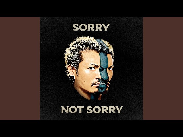 ミュージシャン WANIMA Sorry Not Sorry DISCOVER PULLOVER