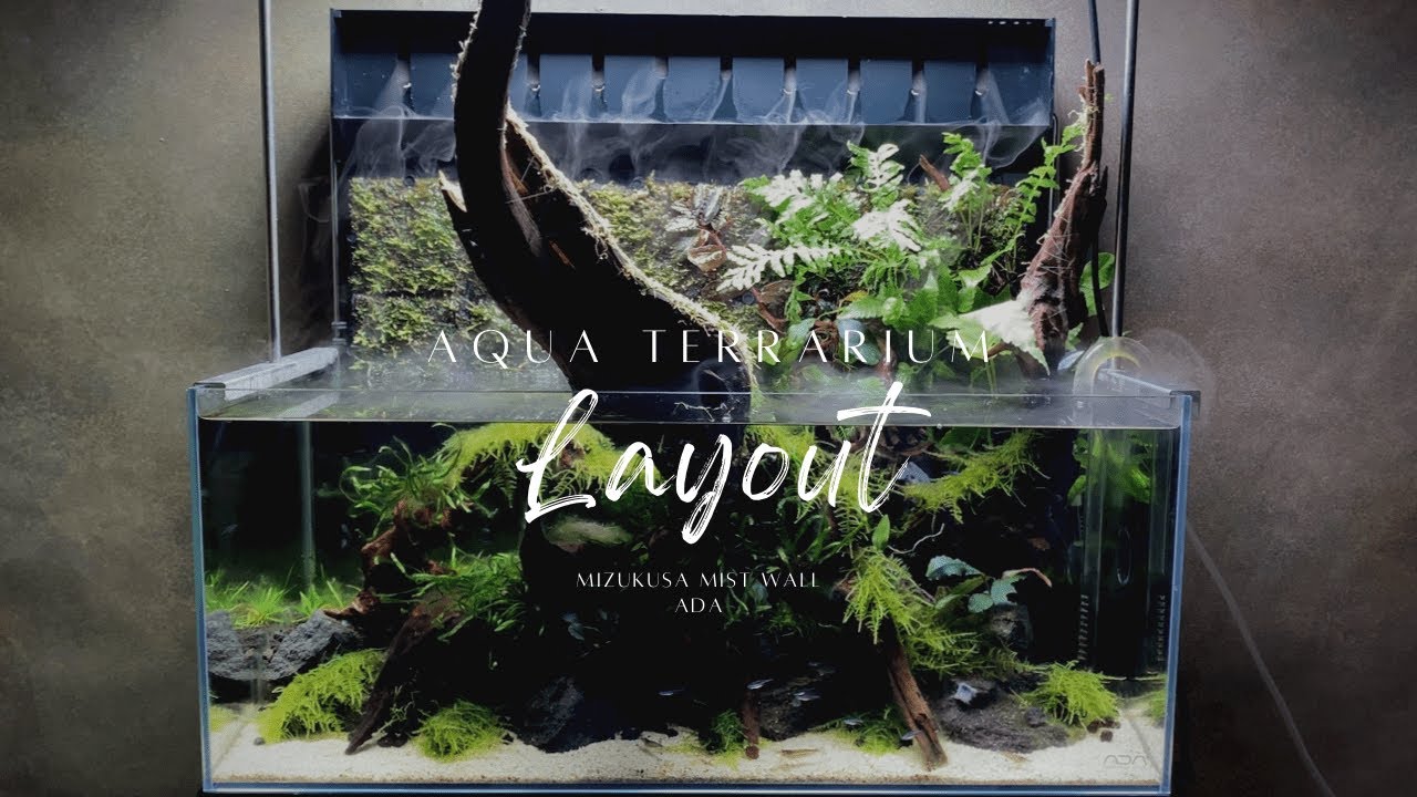 Aquascape ADA “MIZUKUSA MIST WALL 60” Aquaterrarium - YouTube