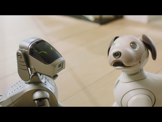 SONY AIBO ロボット犬 シルバー 充電スタンド付き SONY AIBO ロボット