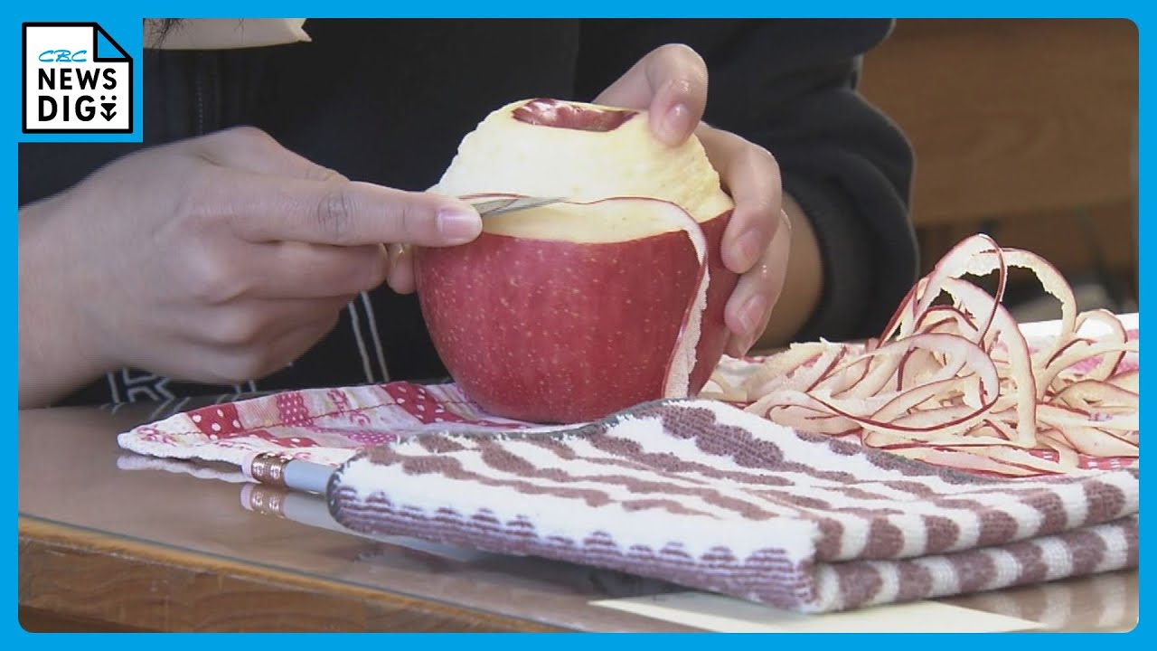 去年の記録は20m超 小学校で「リンゴの皮むき大会」 開校以来の伝統