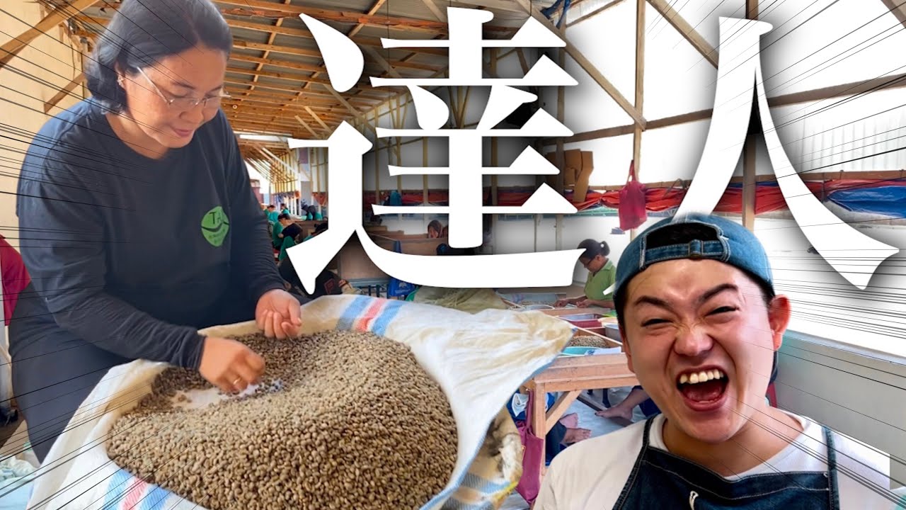 神ハンドピック】えげつない量のコーヒー豆をさばくプロ集団！スマトラ