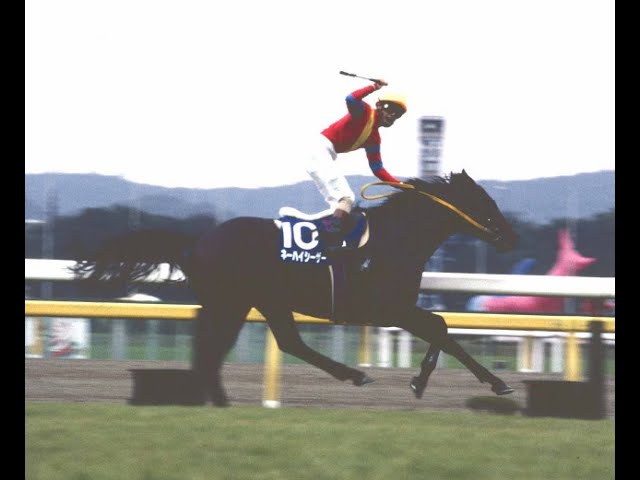 1994 天皇賞秋 GⅠ ネーハイシーザー 塩村 克己 - YouTube