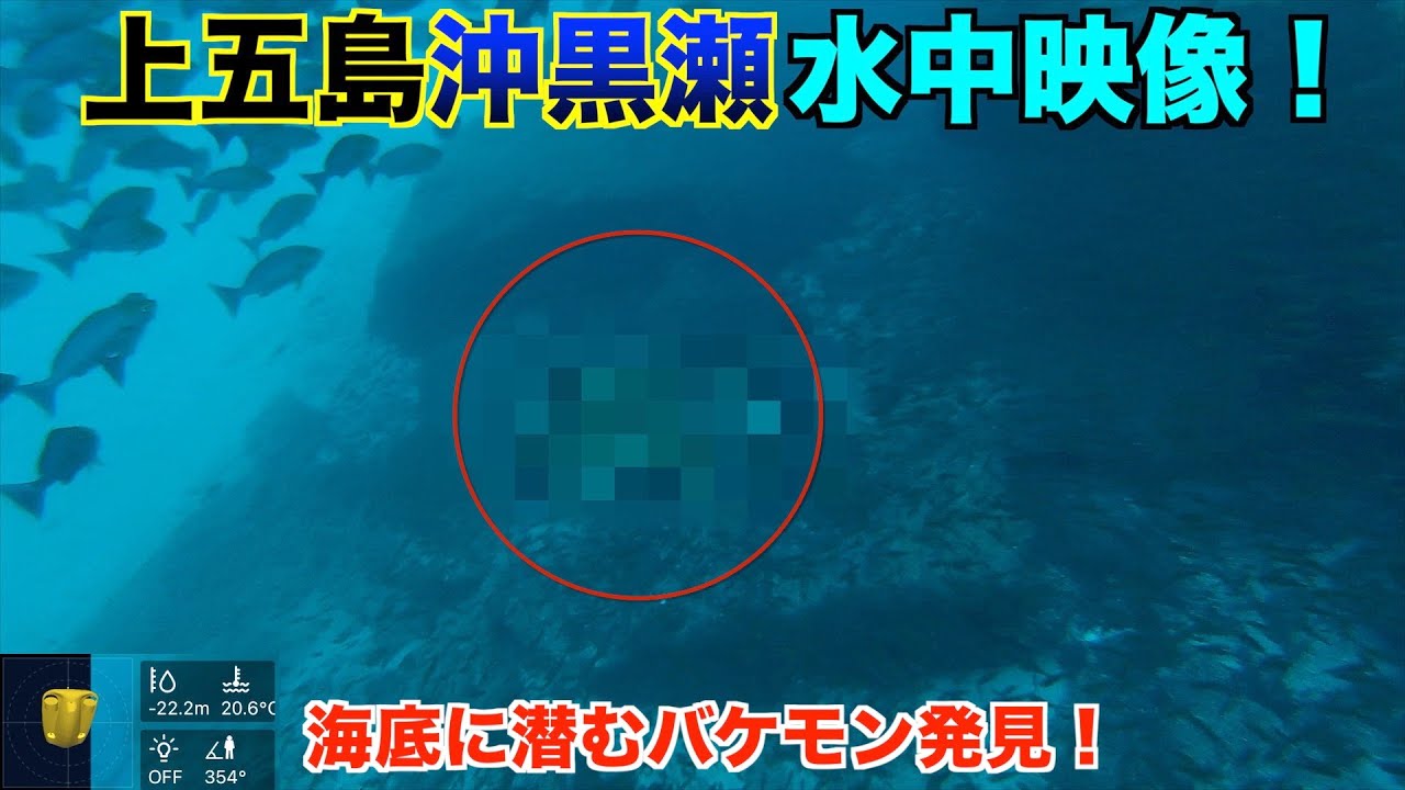 神回】上五島沖黒瀬水中映像！これぞ究極の天然水族館！魚影の濃さに
