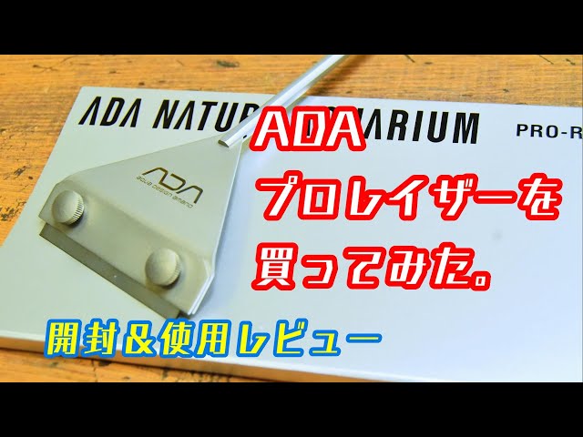 キ*ス様 ADA プロレイザー ノーマル 廃版 キ*ス様 ADA プロレイザー