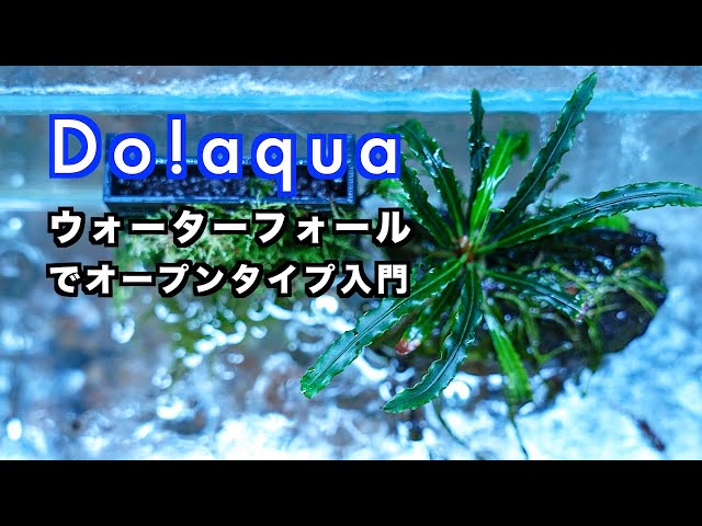 Introduction to Open-Type Aqua Terrariums: Do!aqua Waterfall Setup