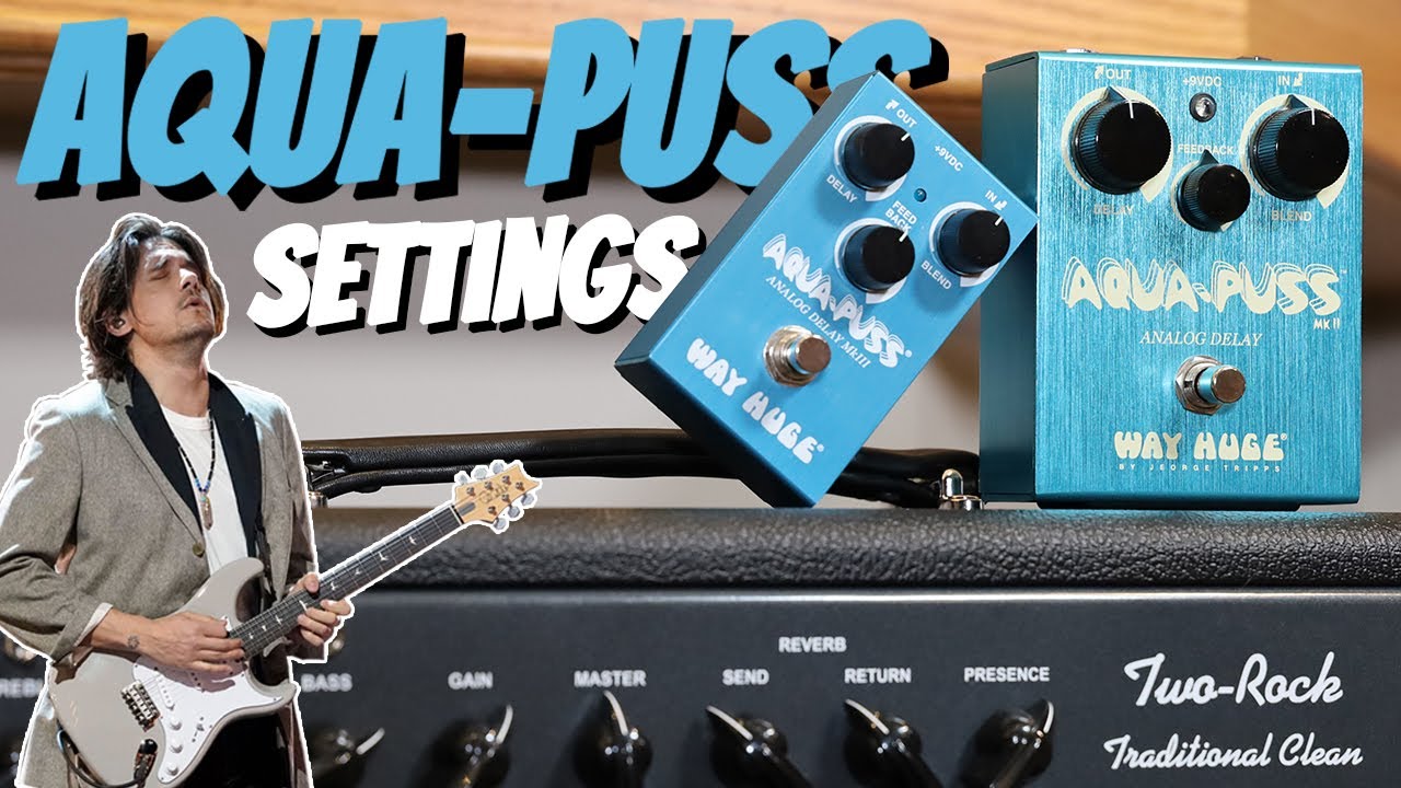 Aqua-Puss Analog Delay MkII Pedal - Way Huge Electronics - YouTube