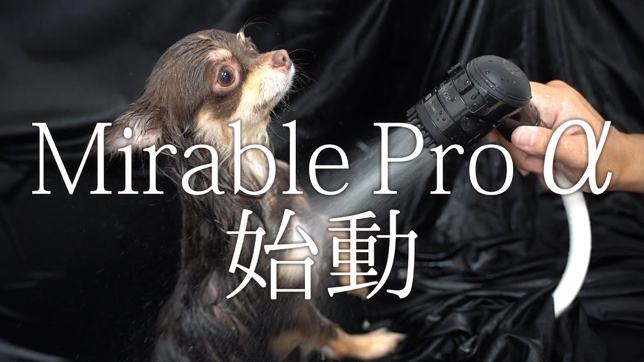 ミラブル プロ アルファ | ZOIC（ゾイック）株式会社ハートランド
